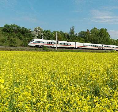 By rail
